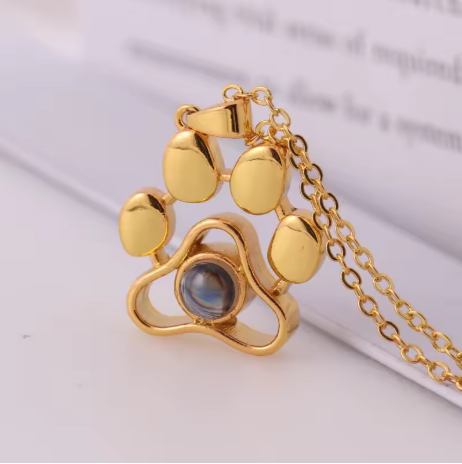 Pet projection necklace